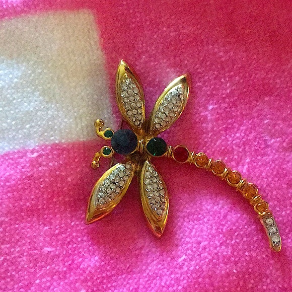 Jewelry - This dragonfly brooch is beautiful piece of art 🔥🔥🔥😍